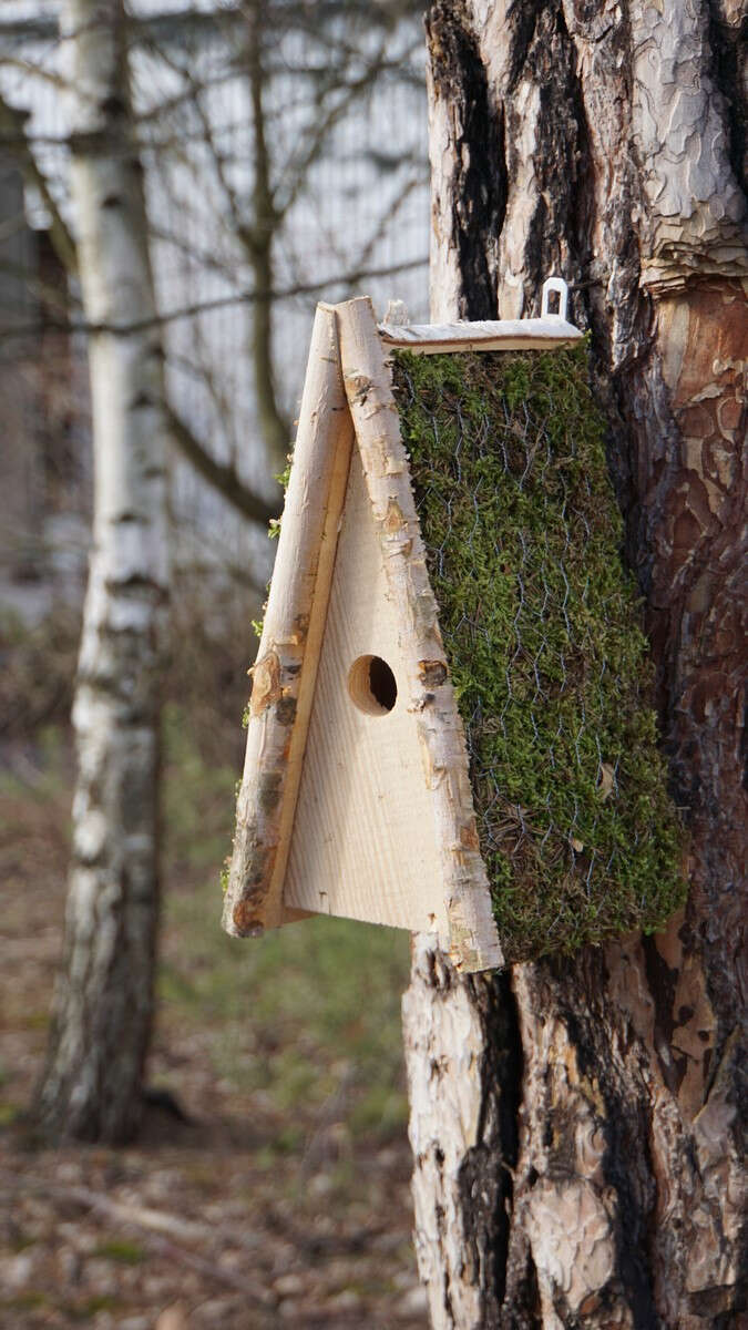 PATKAR Nistkasten Birke